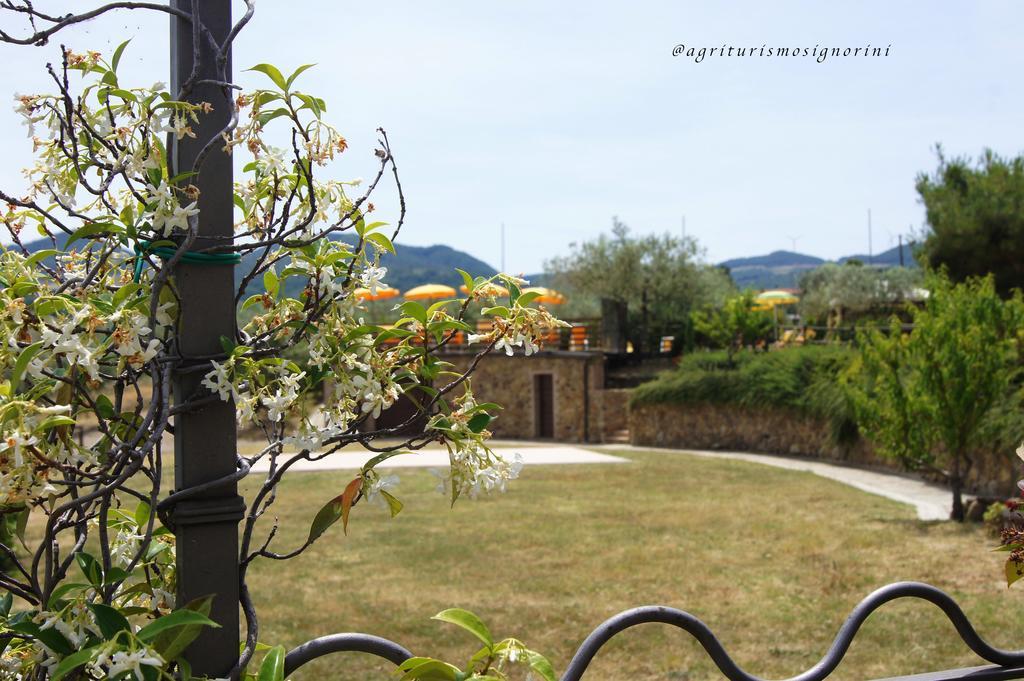 Agriturismo Signorini Orciatico Exterior foto