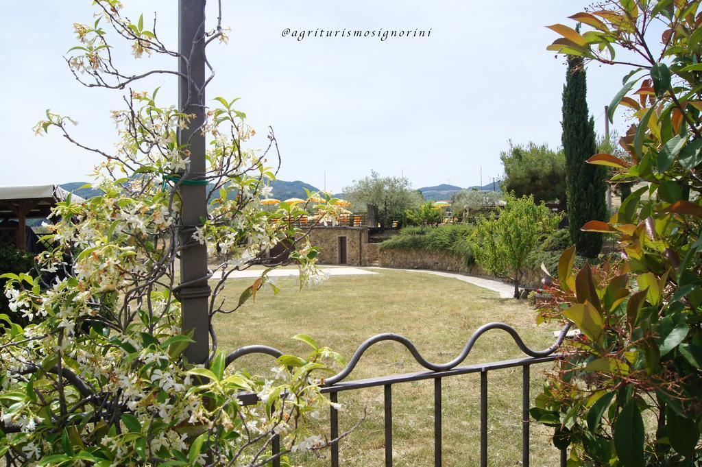 Agriturismo Signorini Orciatico Exterior foto