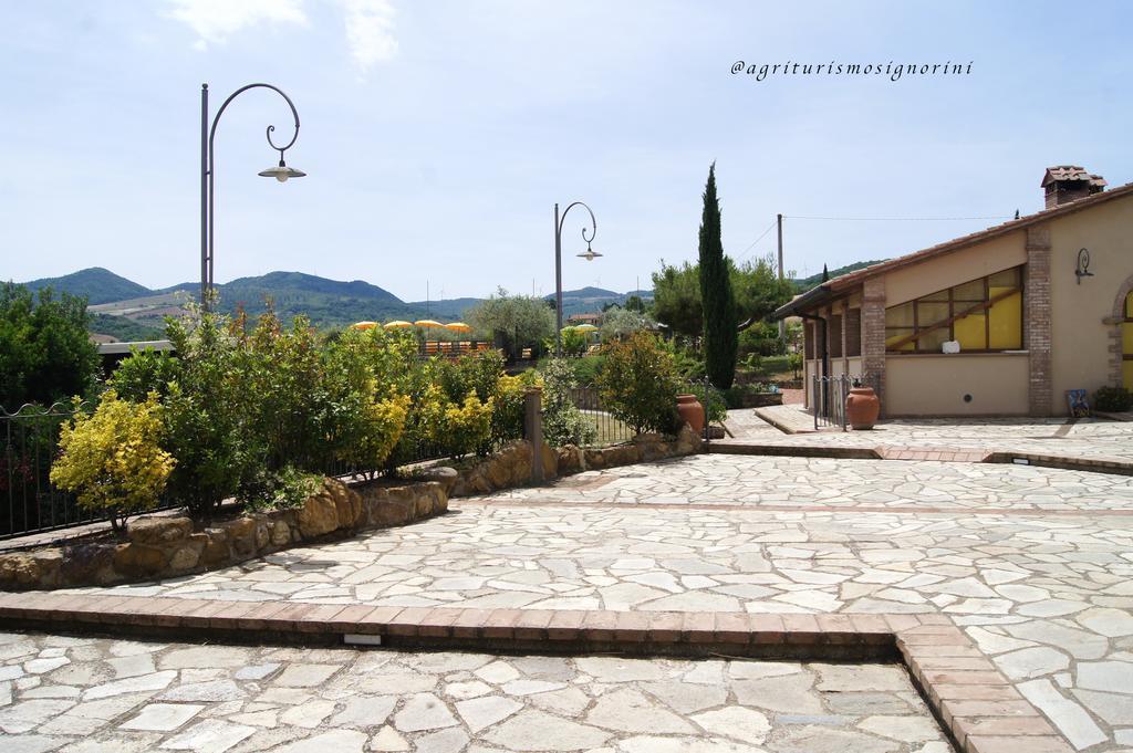 Agriturismo Signorini Orciatico Exterior foto