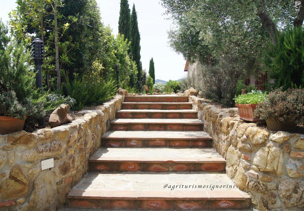 Agriturismo Signorini Orciatico Exterior foto