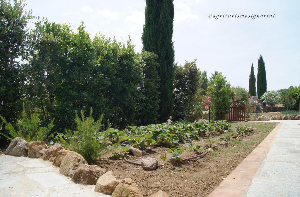 Agriturismo Signorini Orciatico Exterior foto